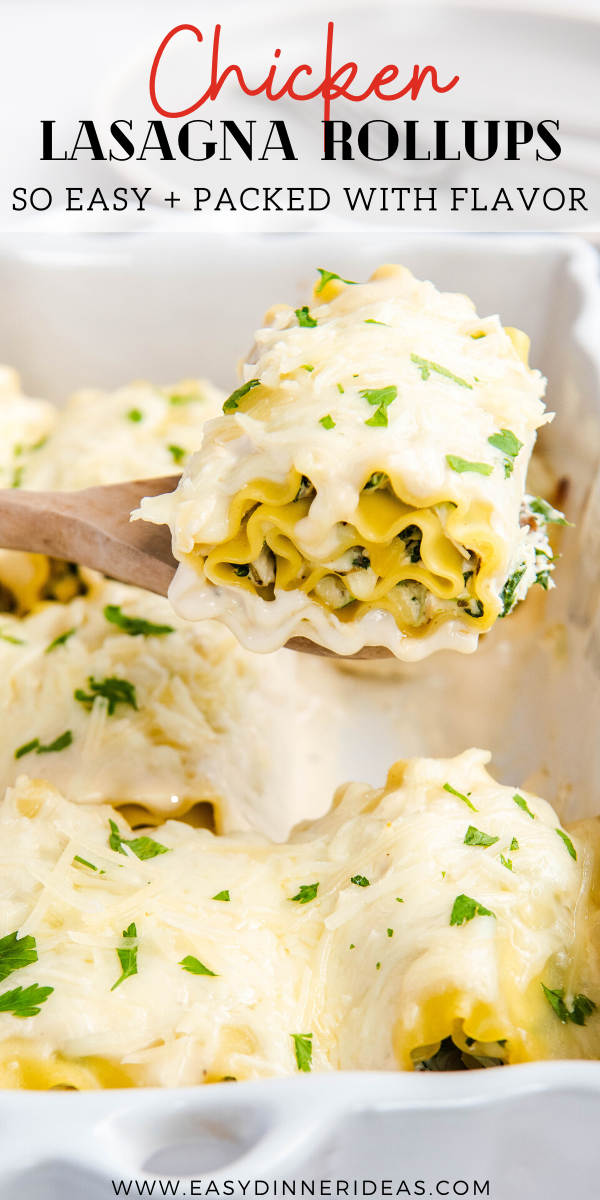 White Chicken Lasagna Roll Ups