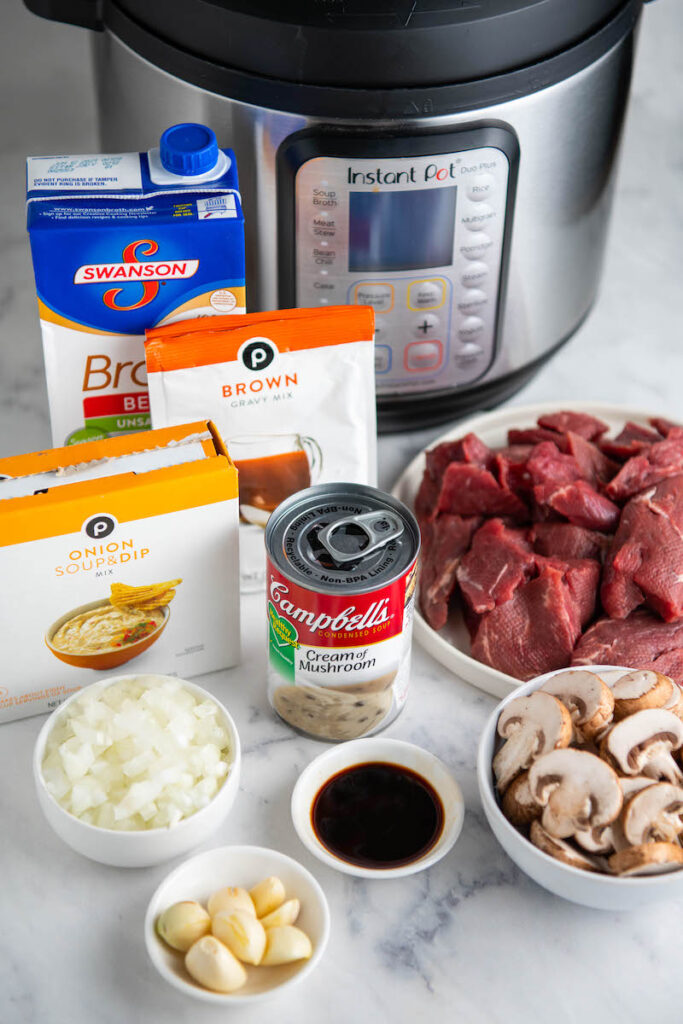 Ingredients arranged in front of an instant pot.