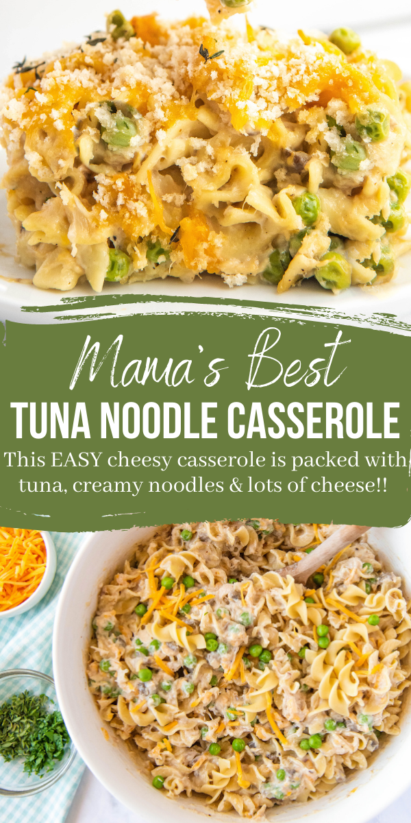 Cheesy Tuna Noodle Casserole Easy Dinner Ideas