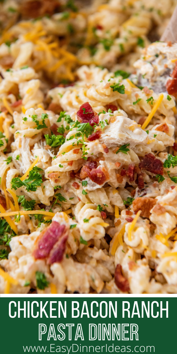 Chicken Bacon Ranch Pasta | Easy + Creamy Pasta Dinner In 20 Minutes!