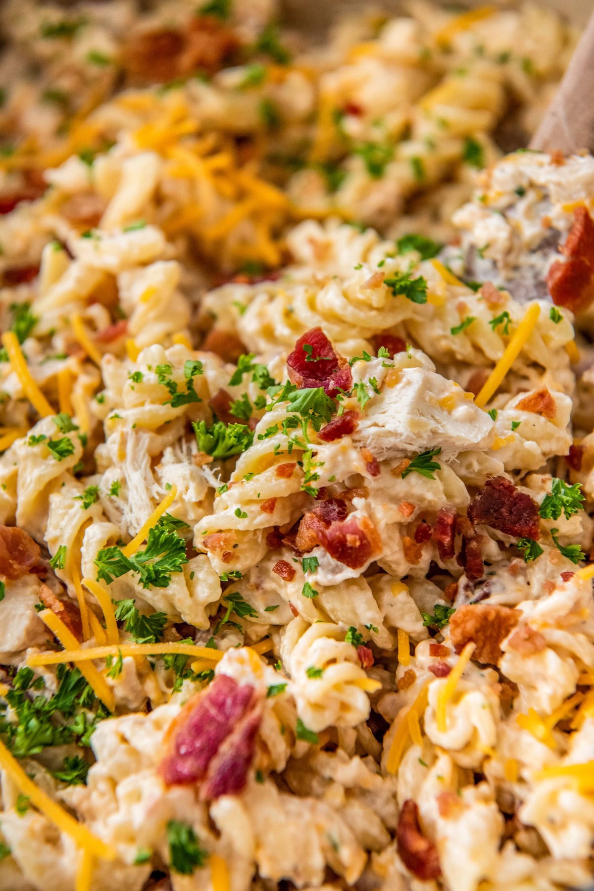 Ranch chicken bacon pasta is garnished with fresh herbs. 