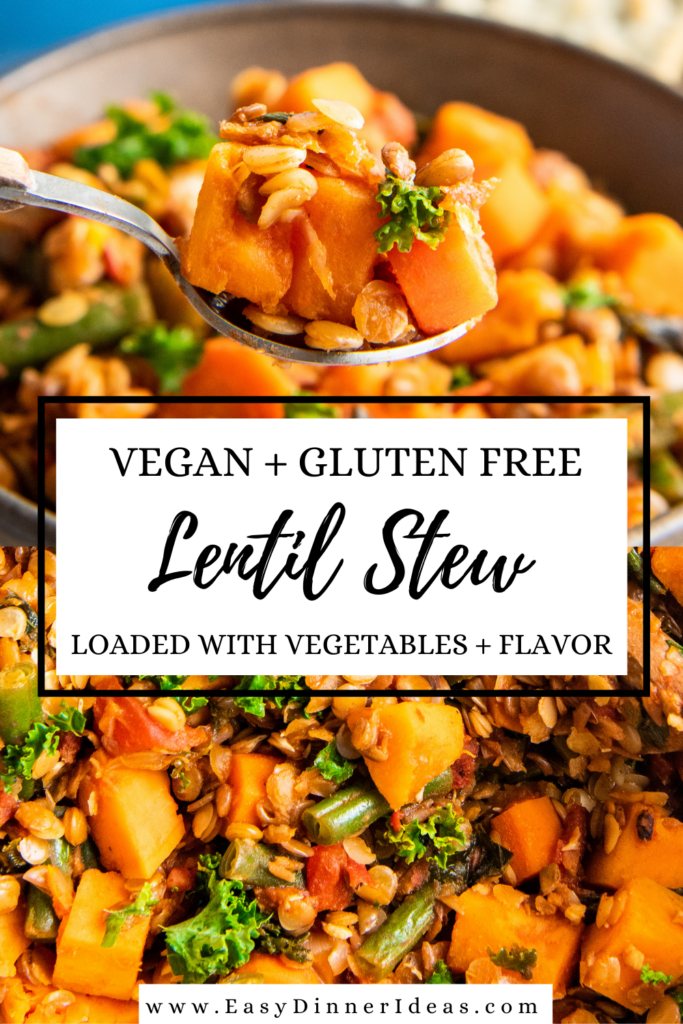 Easy Vegan Lentil Stew Recipe | A Plant Based Meal