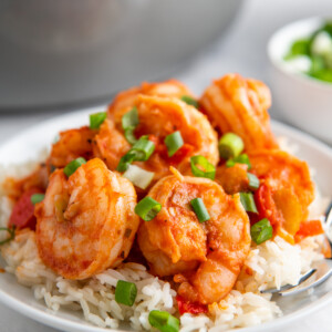 plated shrimp on a bed of rice