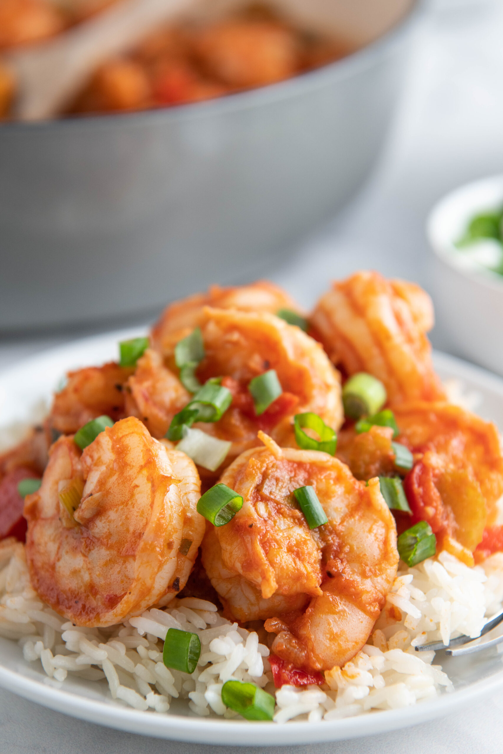plated shrimp on a bed of rice