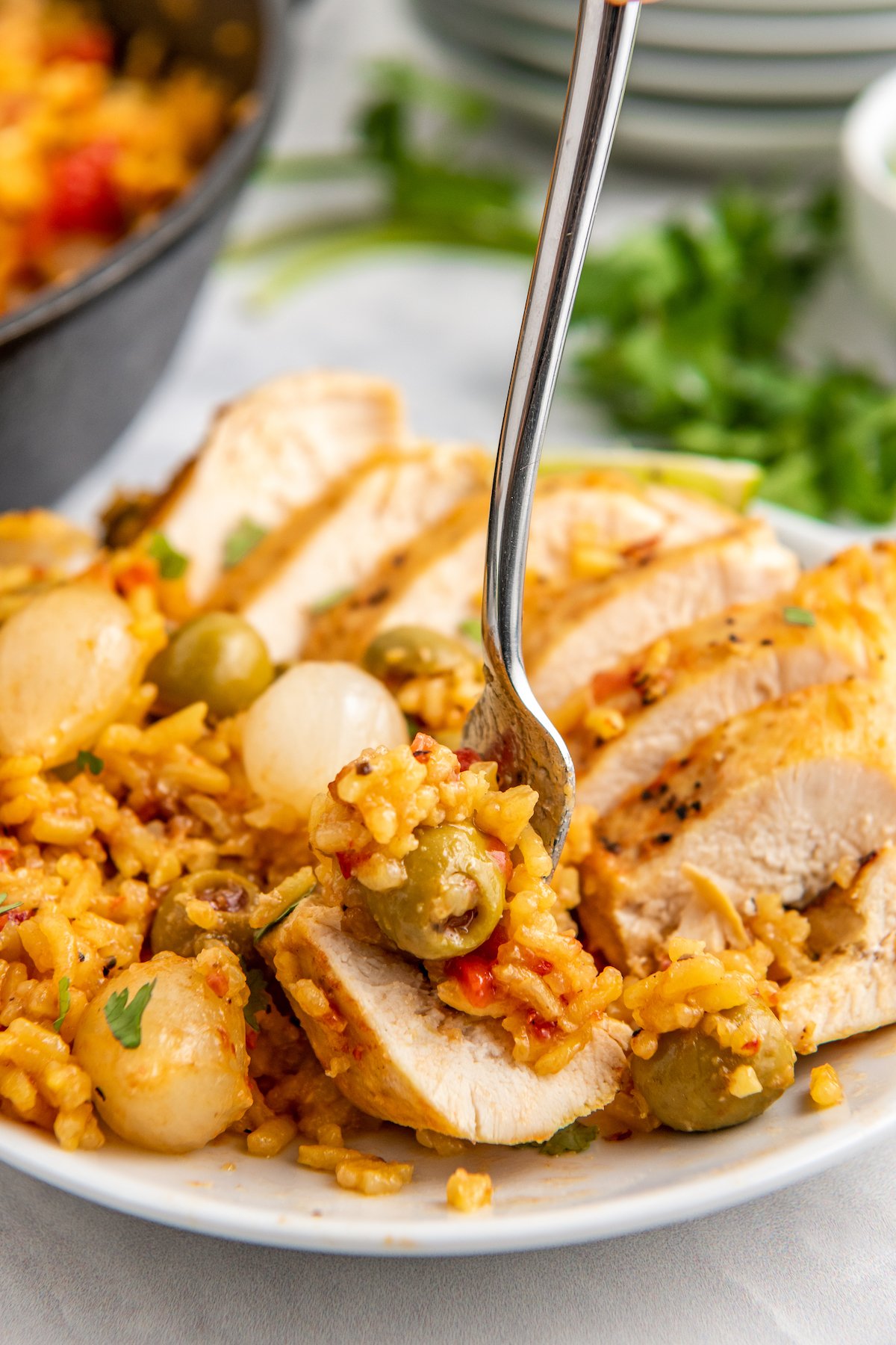 A plate filled with Spanish rice and chicken 