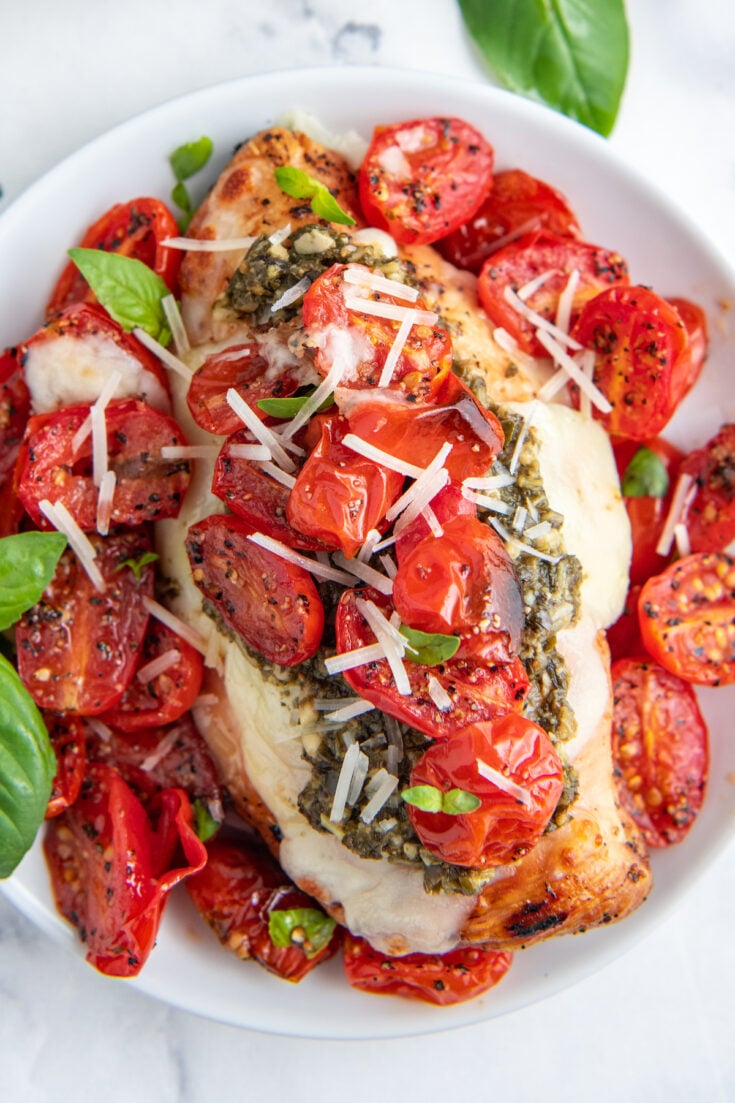 Tomatoes and grilled chicken are topped with shredded cheese.