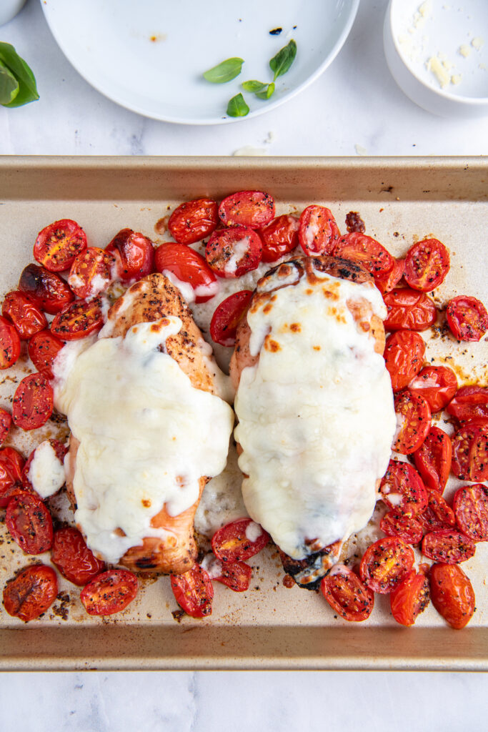 Two chicken breasts are covered in melted cheese and surrounded by roasted tomatoes.