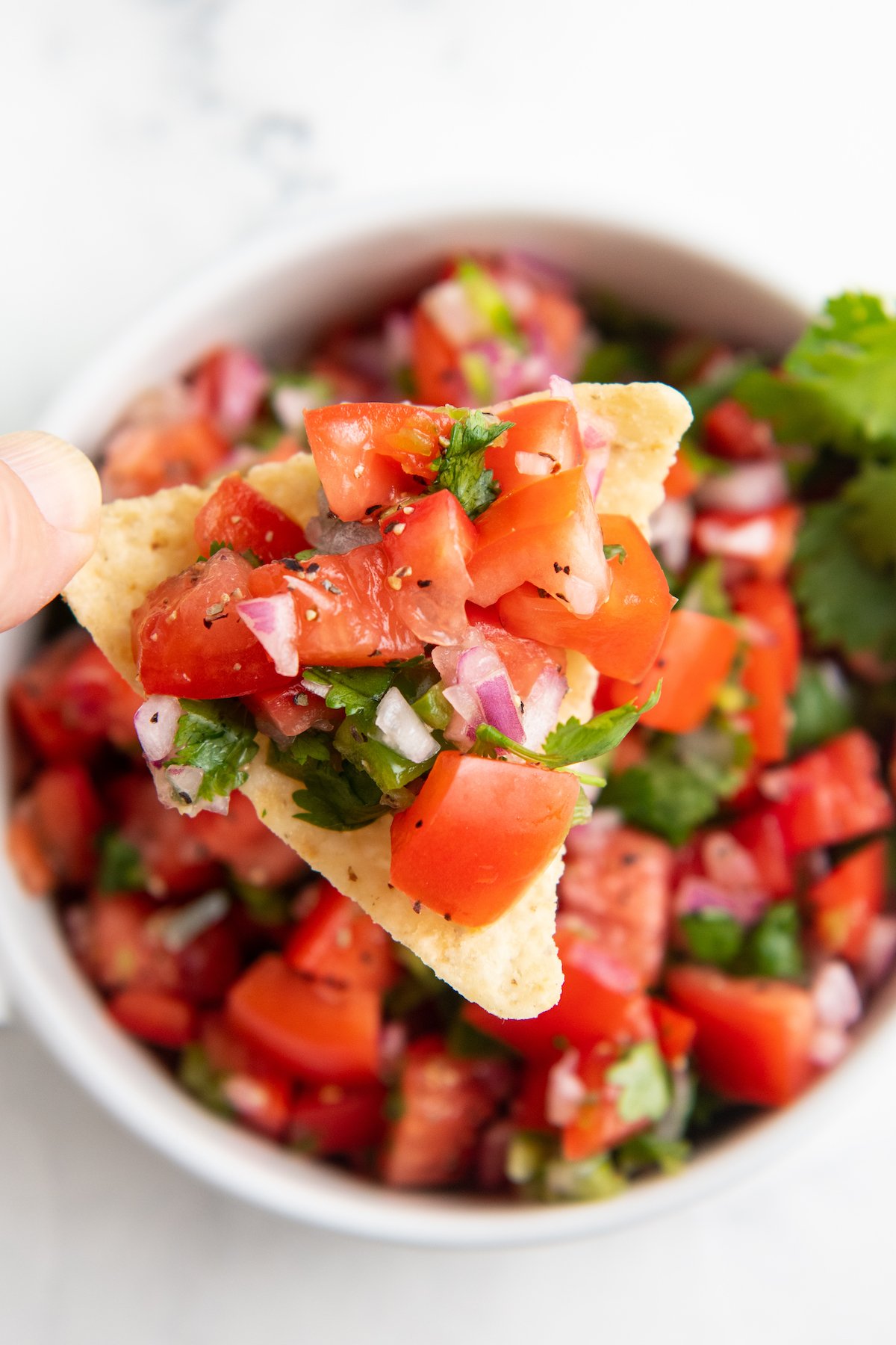 A tortilla chip with pico de Gallo on it over a bowl filled with homemade pico de Gallo.