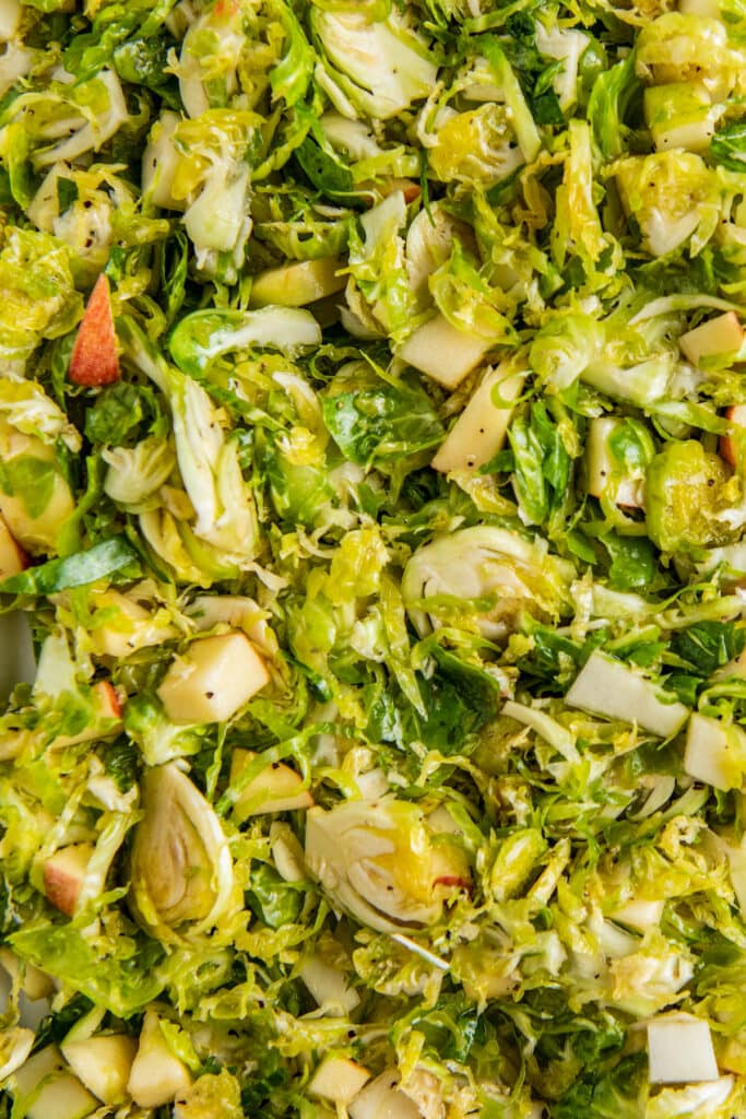 Up close image of shaved brussel sprouts tossed with apples and salad dressing.