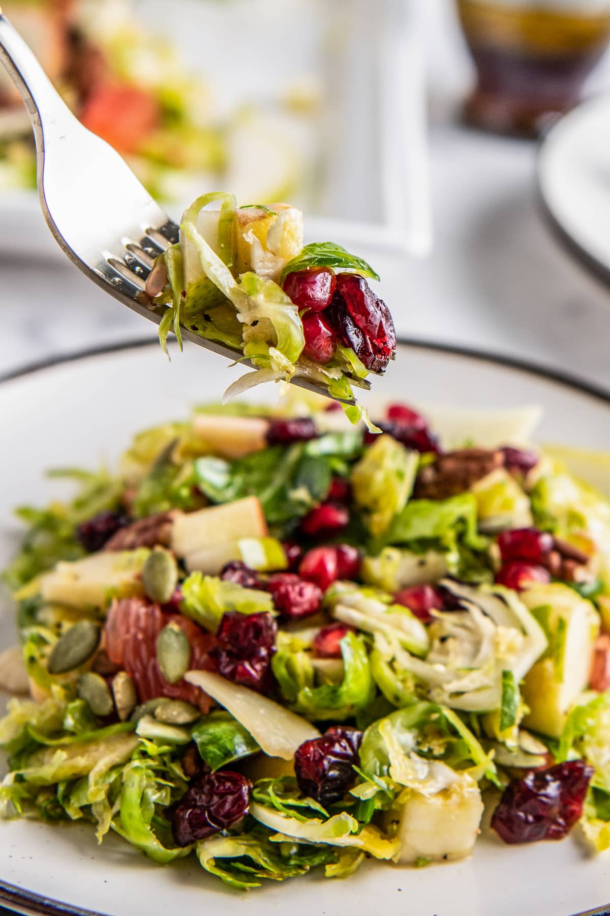 A forkful of shaved Brussel sprouts salad with cranberries and fresh citrus.
