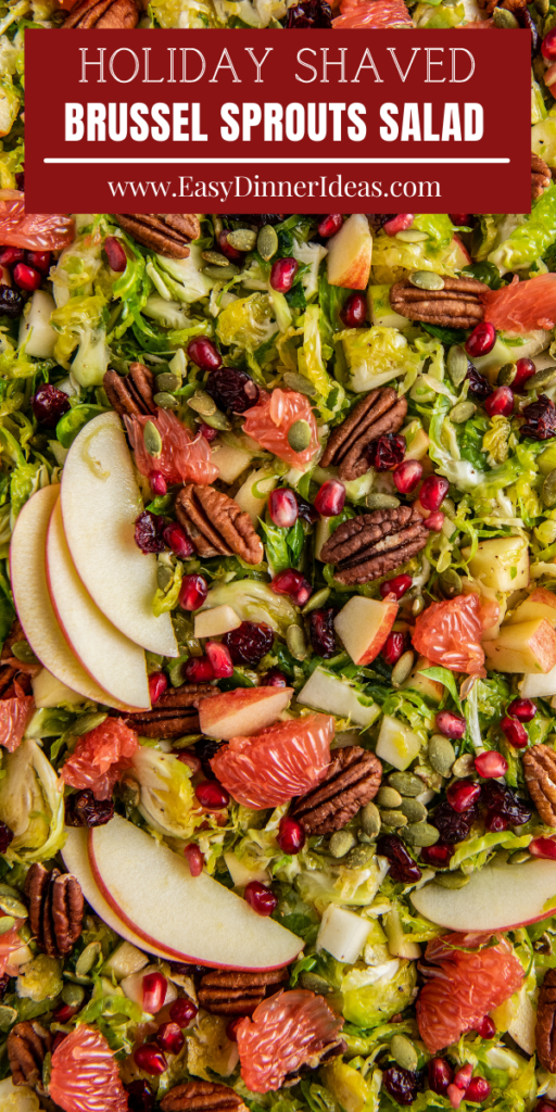 Overhead view of Shaved Brussel Sprout Salad with fresh citrus and apple slices on top.