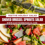 An image of tongs holding shaved Brussel sprouts in a glass bowl and an overhead view of Shaved Brussel Sprout Salad with fresh citrus and apple slices on top.