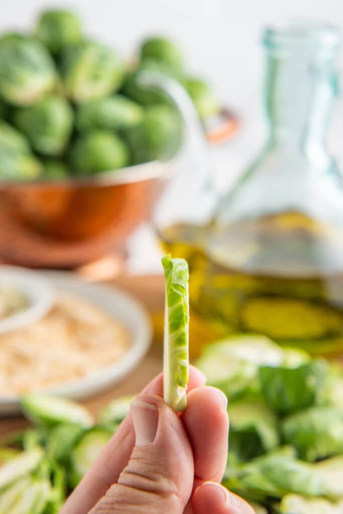 Thinly sliced Brussels sprouts being held by fingers.