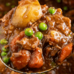 A ladle scooping a serving of instant pot beef stew out of the instant pot.