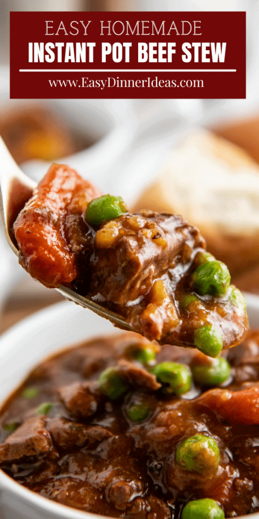 A spoonful of beef stew on a spoon.