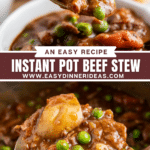 A spoonful of beef stew and a ladle scooping a serving of beef stew out of the instant pot.