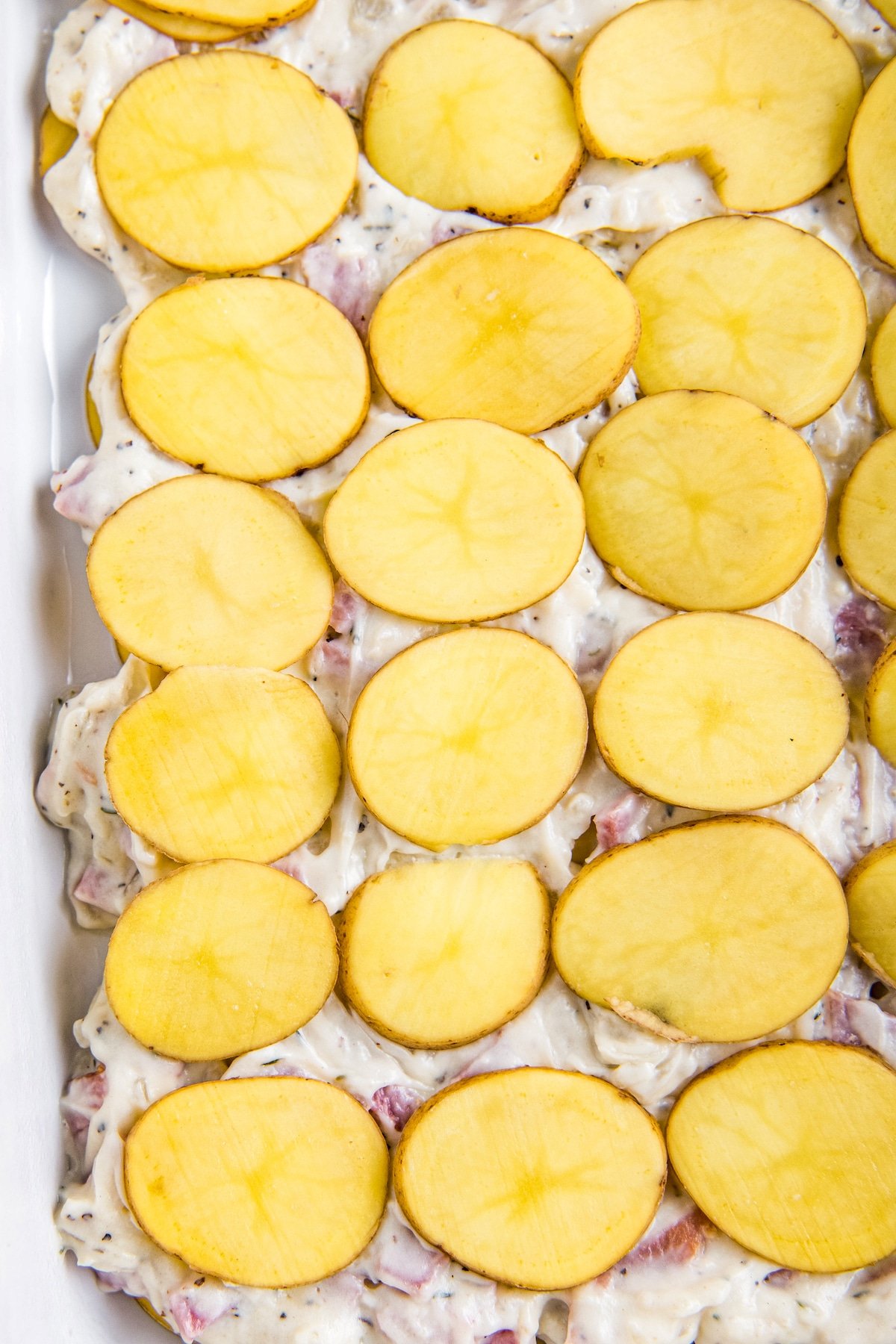 Sliced potatoes arranged on top of a white gravy in a casserole pan.