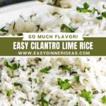 A spoonful of rice and a close up image of white rice with cilantro stirred in.