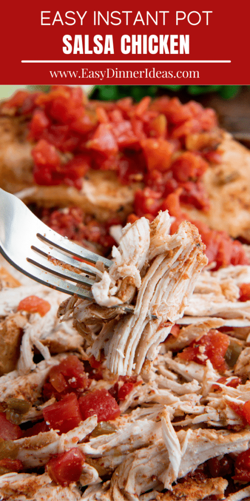 Shredded chicken with tomatoes with a fork picking up a piece of shredded chicken.