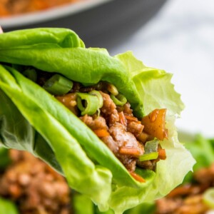 A lettuce wrap with ground chicken.