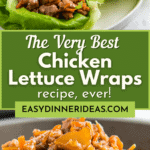 A spoonful of ground chicken and vegetables in sauce and three lettuce wraps on a white plate.