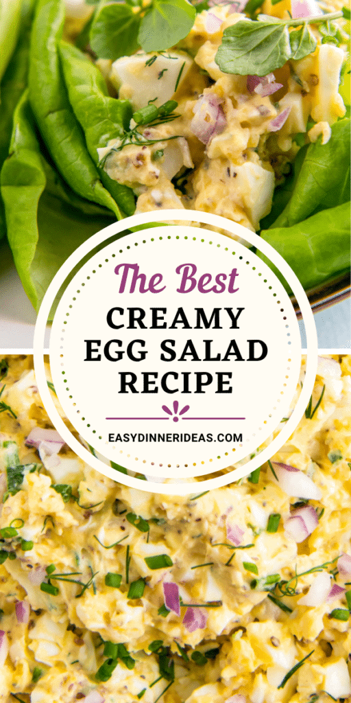Egg salad in Bibb lettuce and egg salad with shallots, chives and dill.