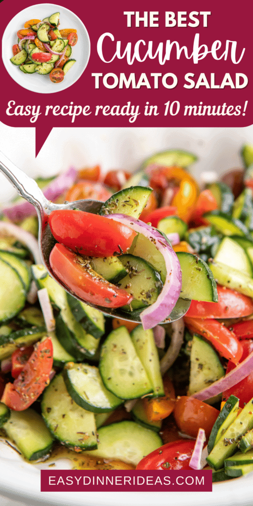 A spoonful of tomato cucumber and onion salad on a spoon.
