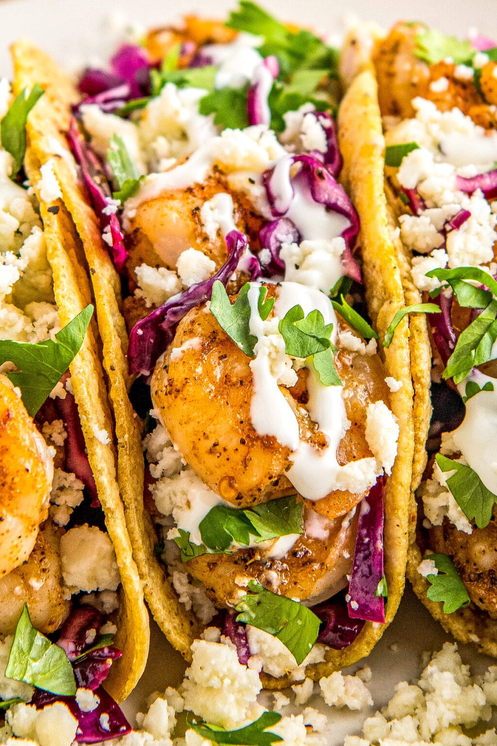 Easy Shrimp Tacos With Slaw In 20 Minutes! | Easy Dinner Ideas