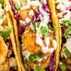 Up close image of shrimp taco with all the toppings.