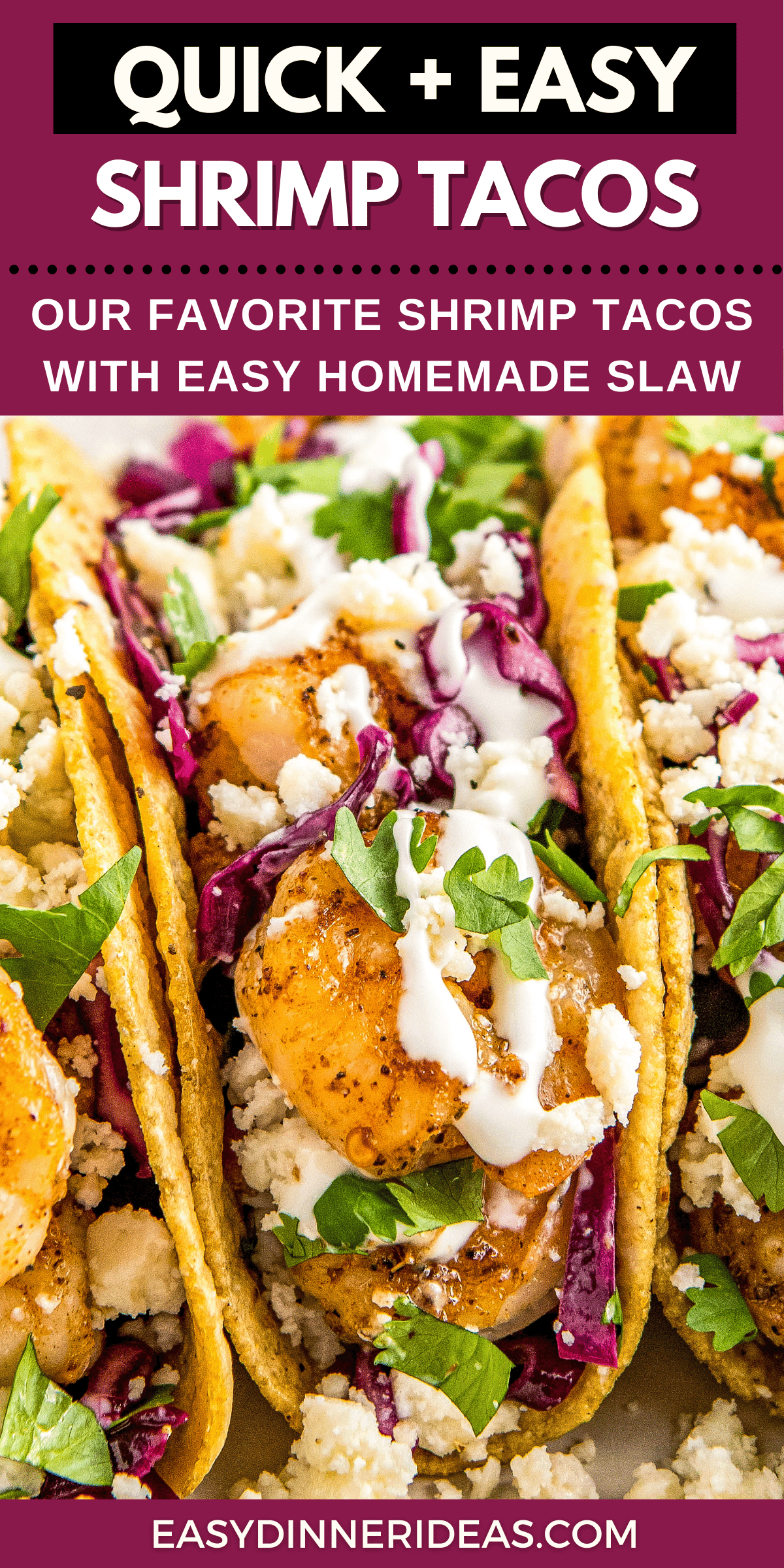 Easy Shrimp Tacos With Slaw In 20 Minutes! | Easy Dinner Ideas