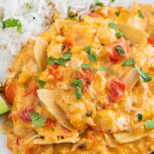 chicken casserole with assorted vegetables, cheese, and tortilla chips