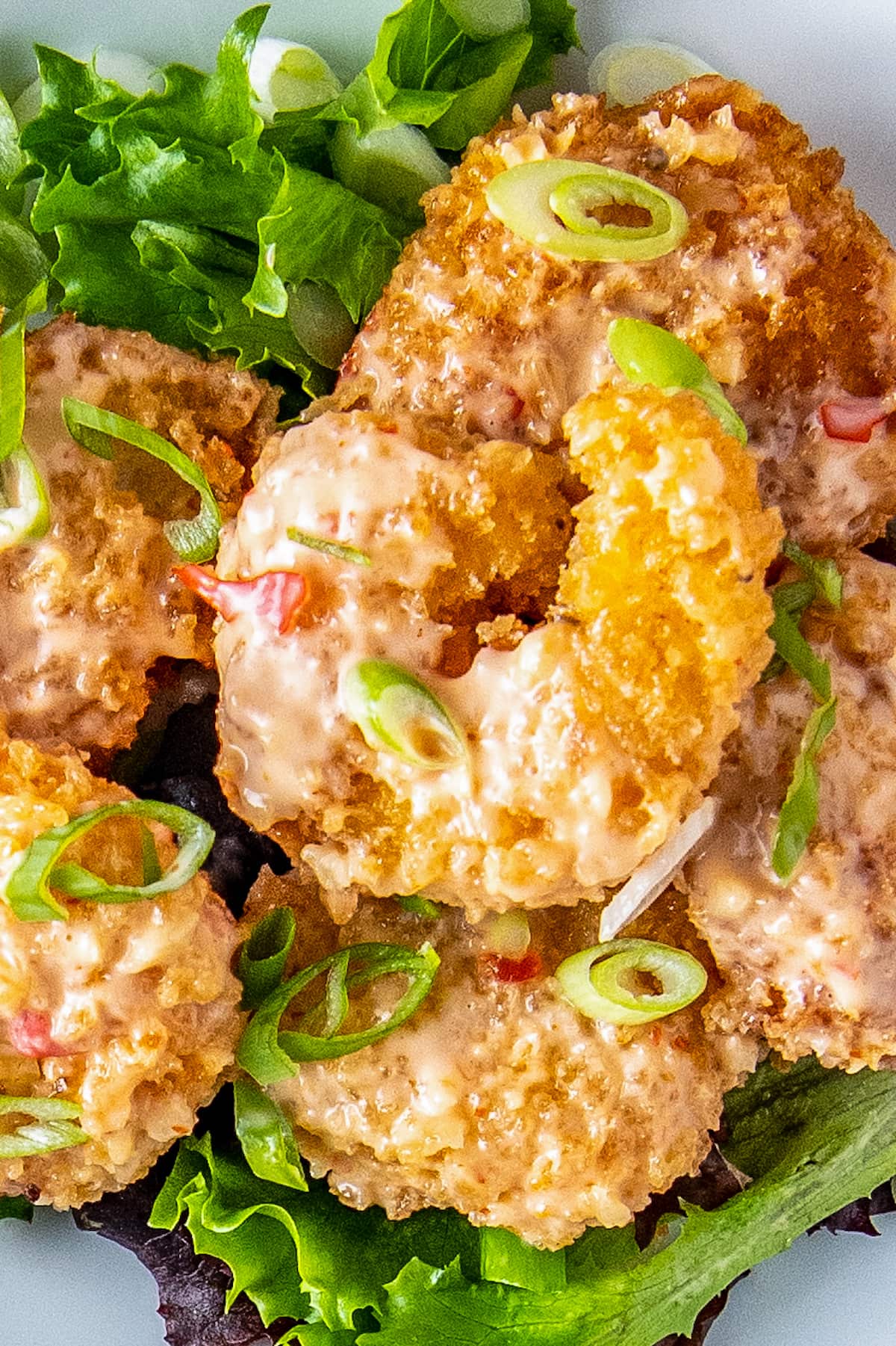 Fried bang bang shrimp with sauce on salad greens