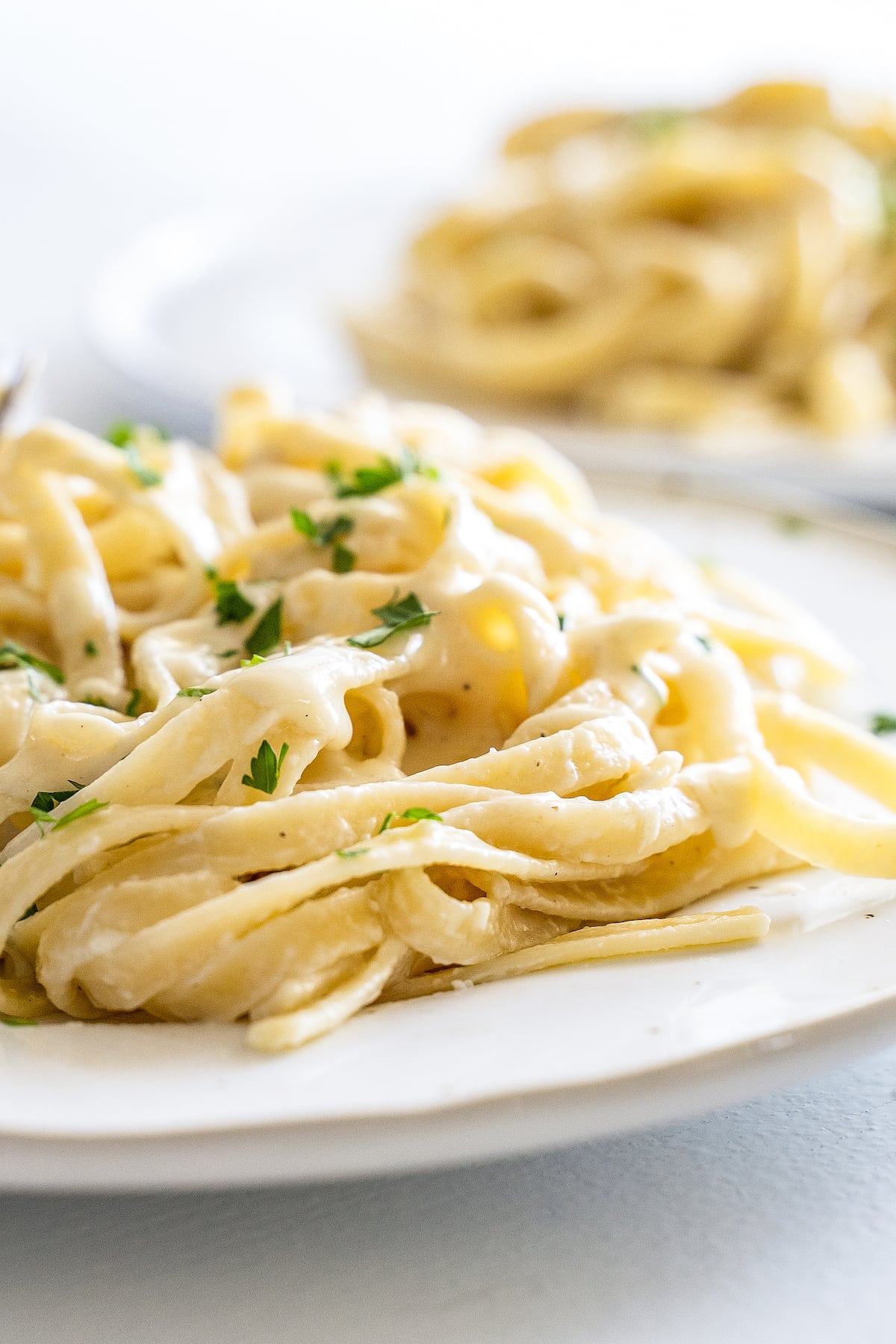 A plate with pasta and alfredo sauce garnished with fresh herbs and a fork twisting a bite