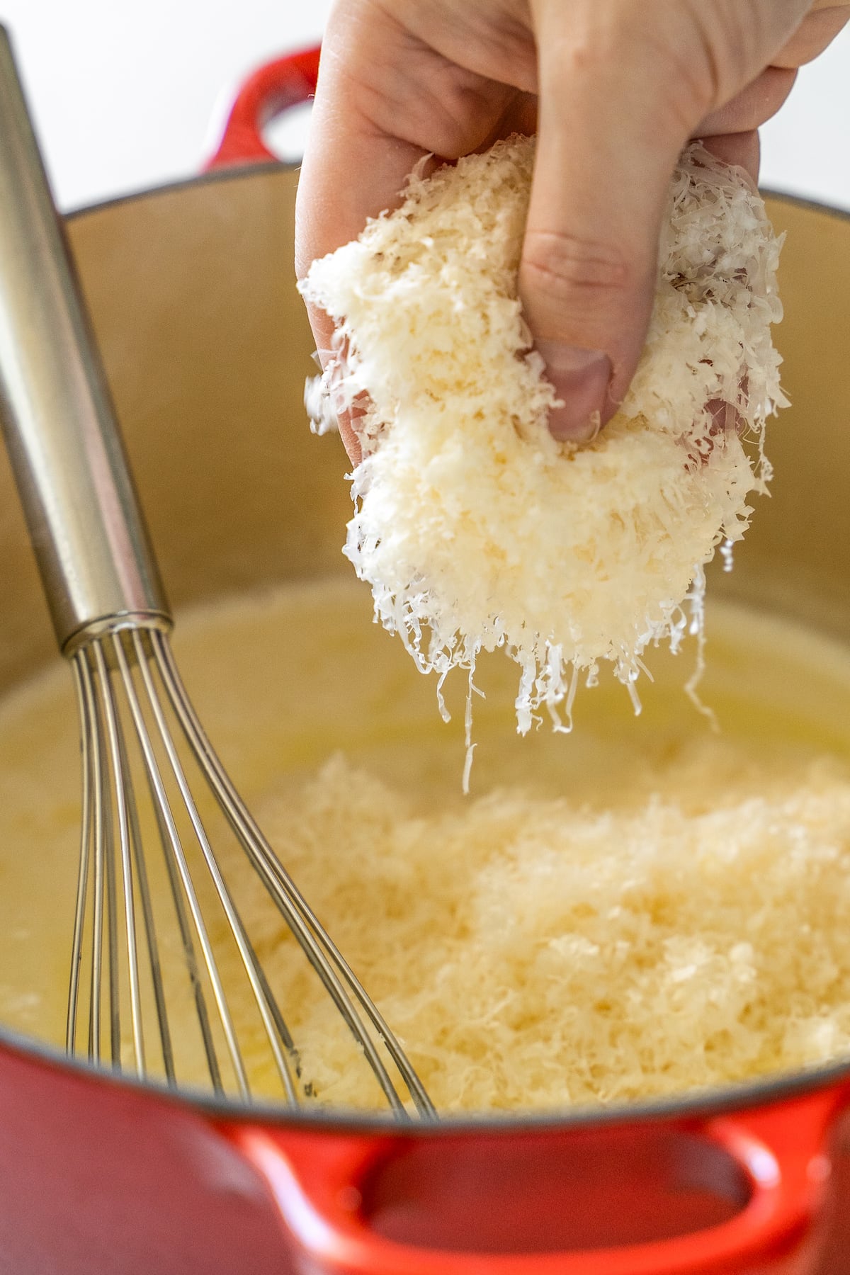 showing a large handful of parmesan cheese about go to into a pot