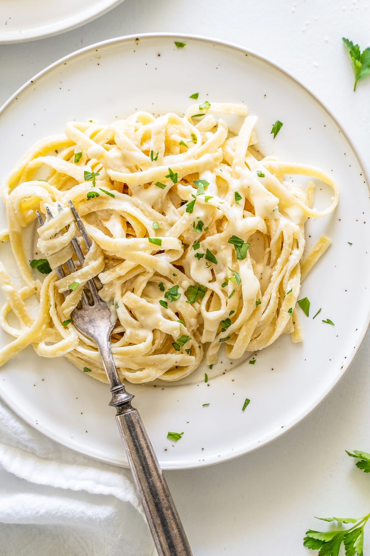 A plate with pasta and alfredo sauce garnished with fresh herbs