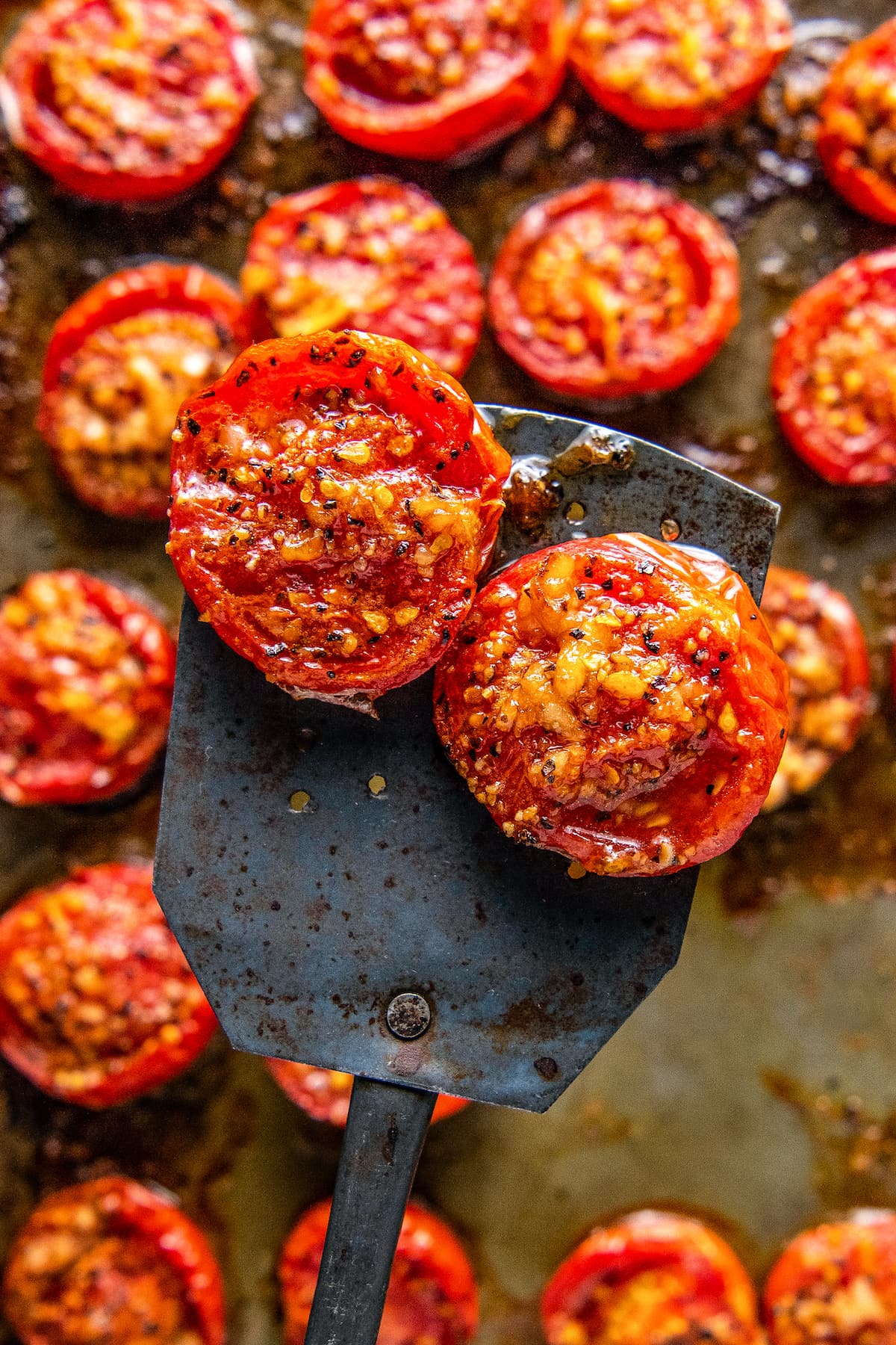 roasted tomatoes on a spatula