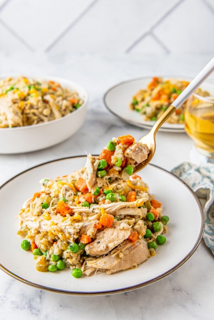 plate with chicken, rice, and vegetables