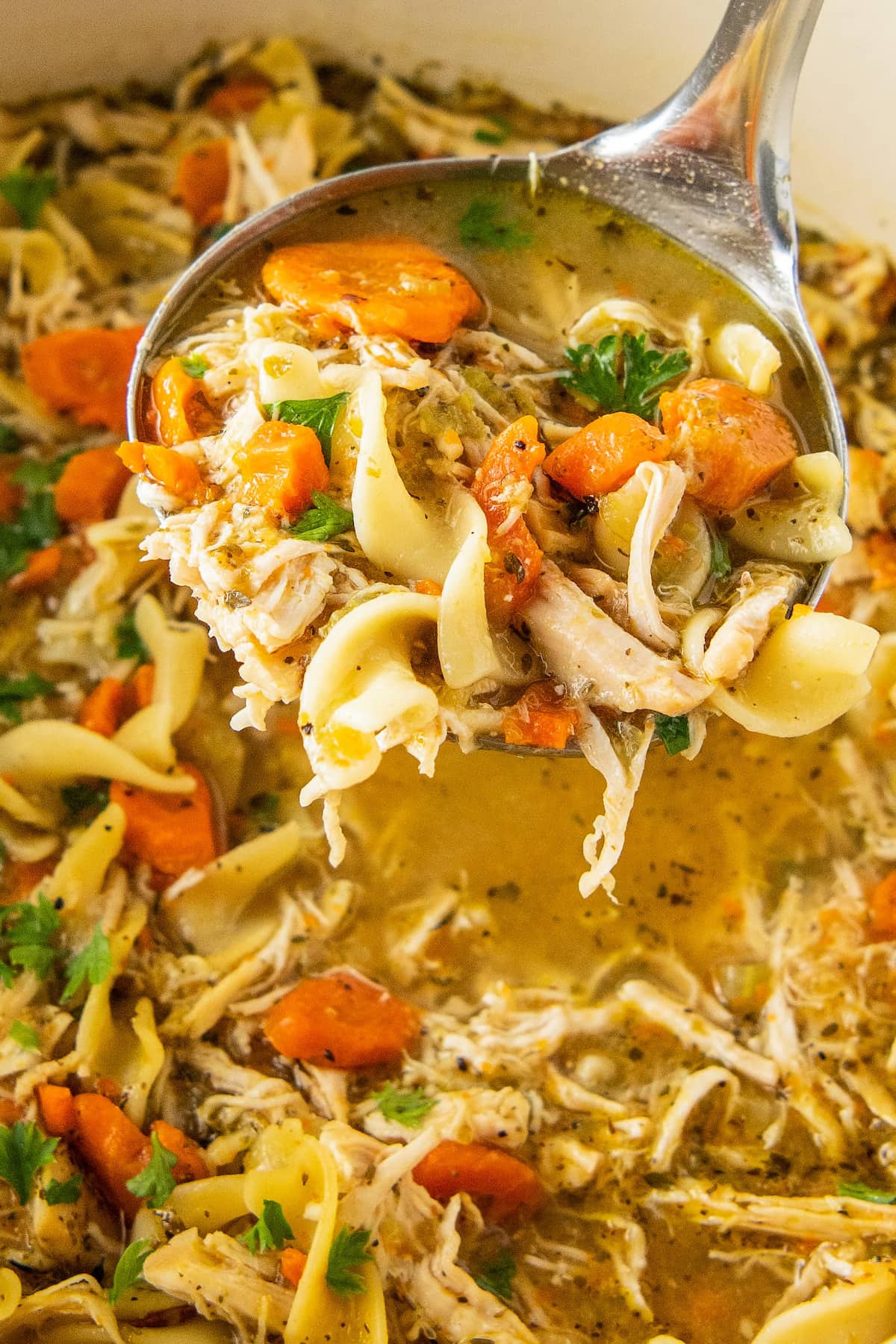 Close up of homemade chicken noodle soup with egg noodles being served out of a dutch oven. 