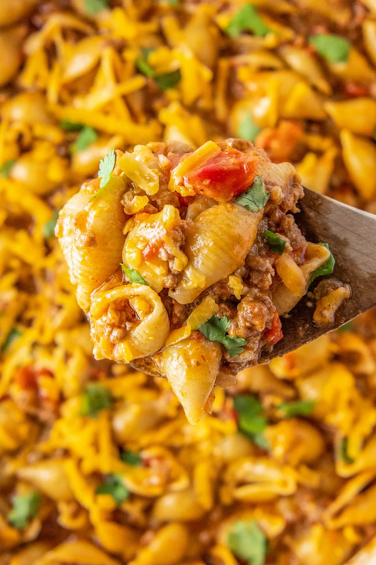 close up of a taco pasta dish with shells, tomato sauce, ground beef, and cheese