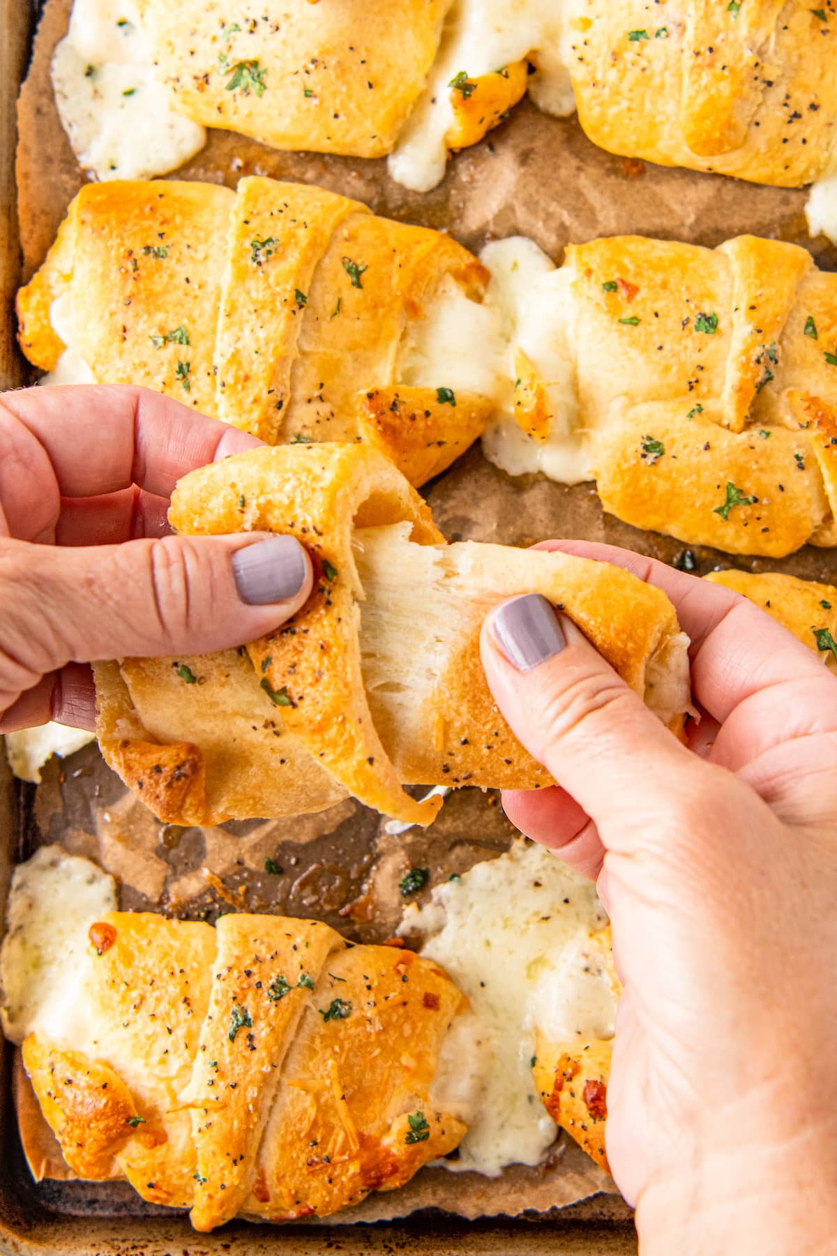 pulling apart cheese herb crescent rolls