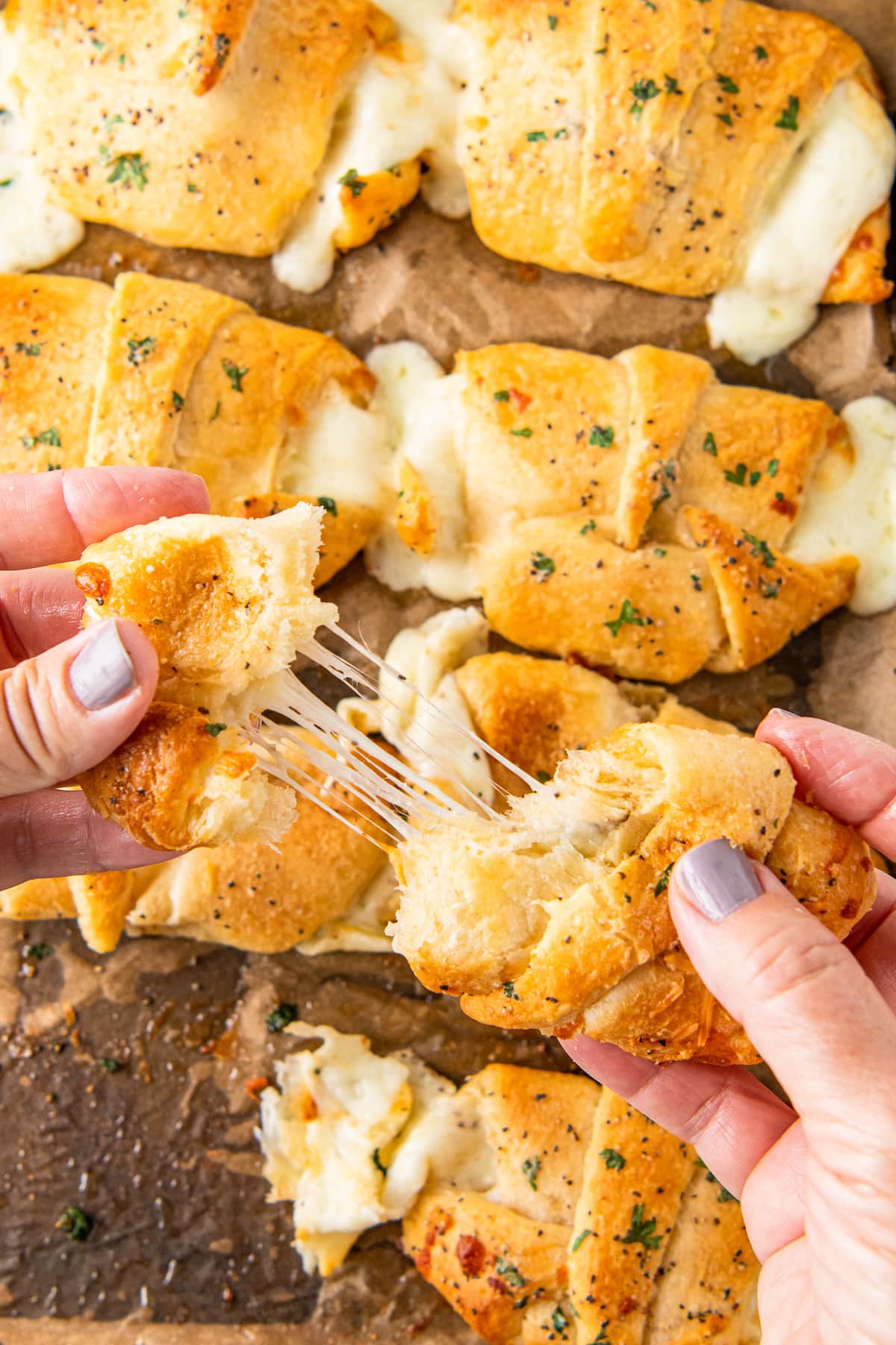 pulling apart cheese herb crescent rolls