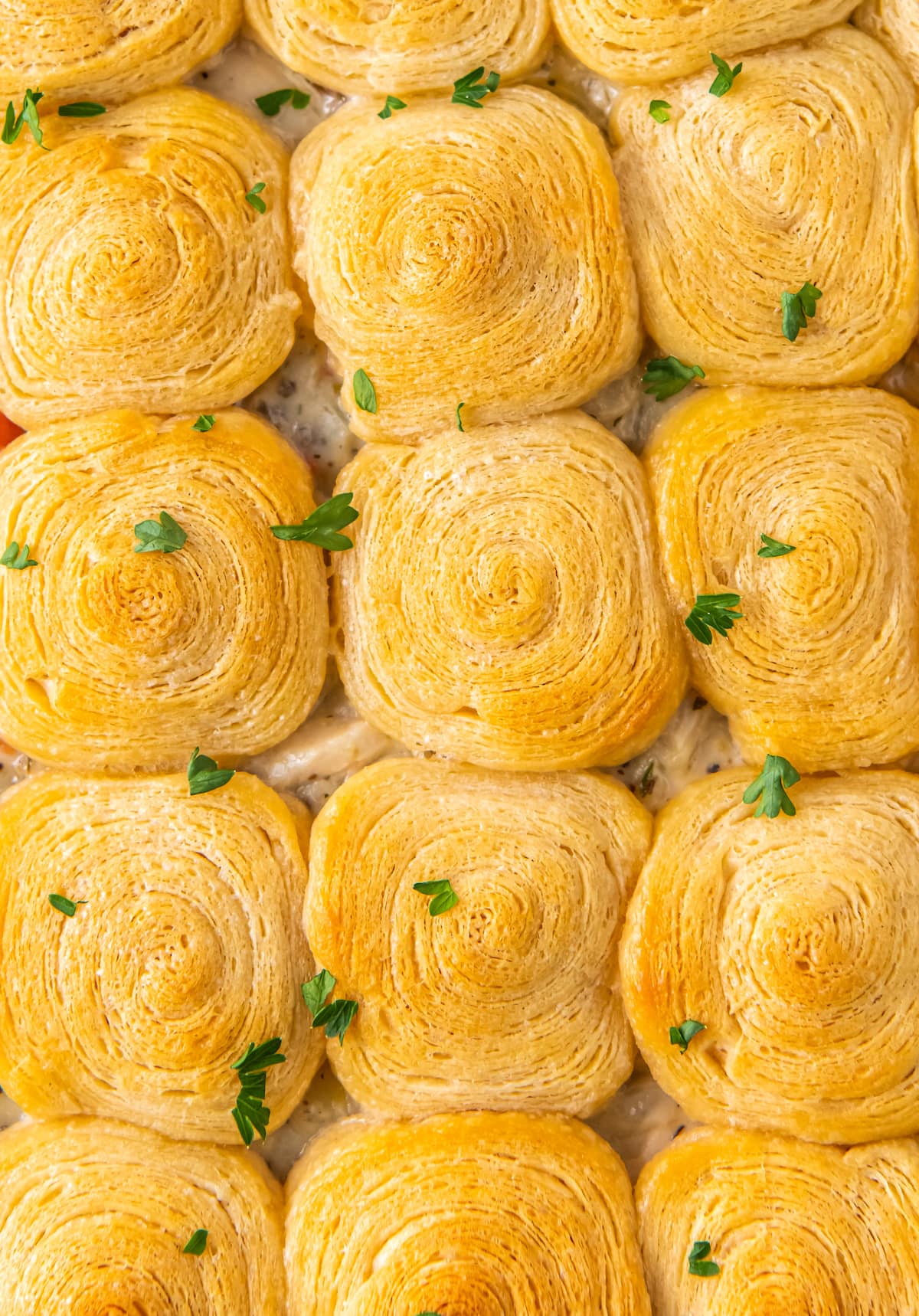 crescent rolls with herbs scattered on top