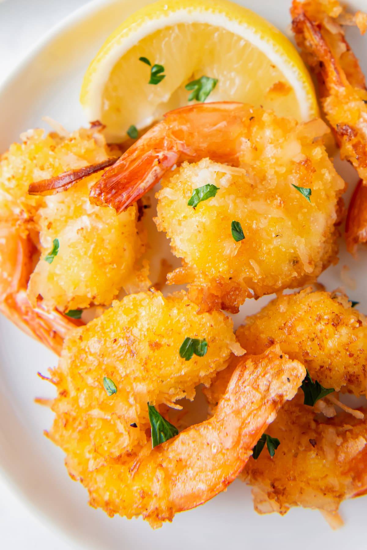 close up of coconut fried shrimp