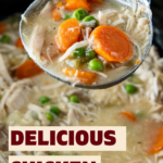 A ladle scooping up some chicken stew out of a crockpot.