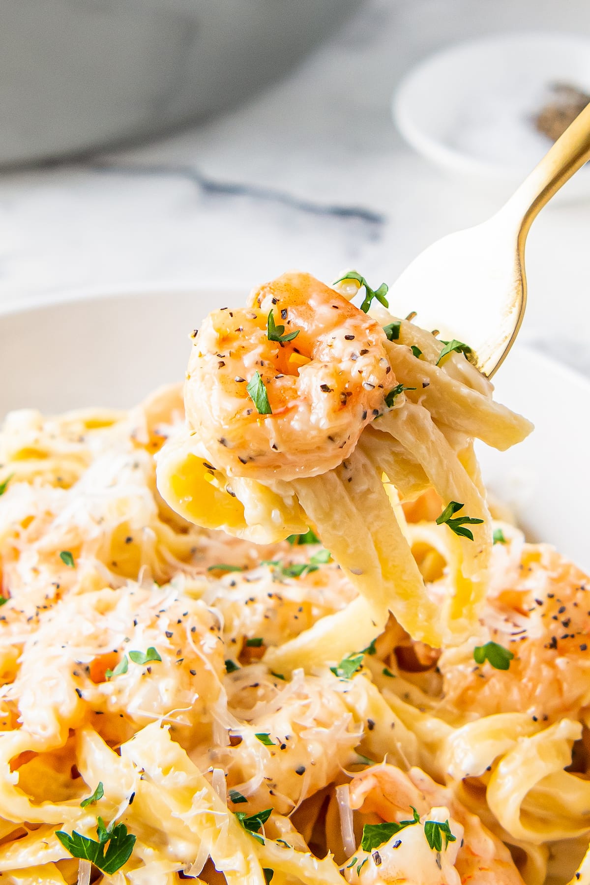 shrimp alfredo being scooped on with a fork