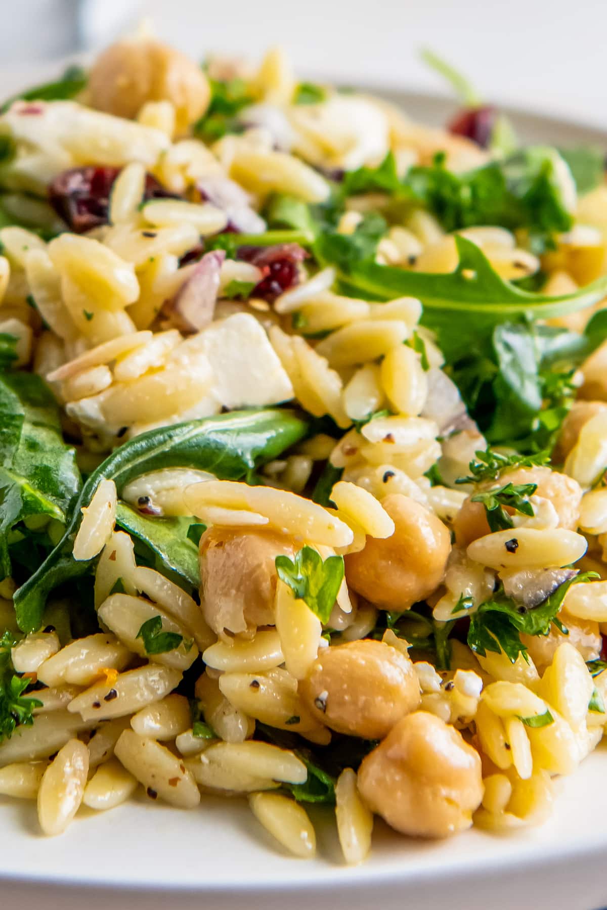 Orzo Salad with Arugula, red onions, feta, and herbs