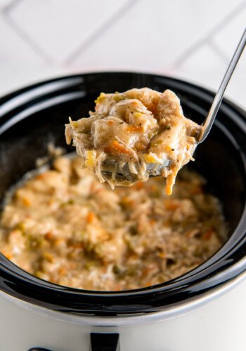 a ladle of chicken and dumplings over a crockpot