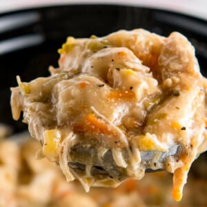 a ladle of chicken and dumplings over a crockpot