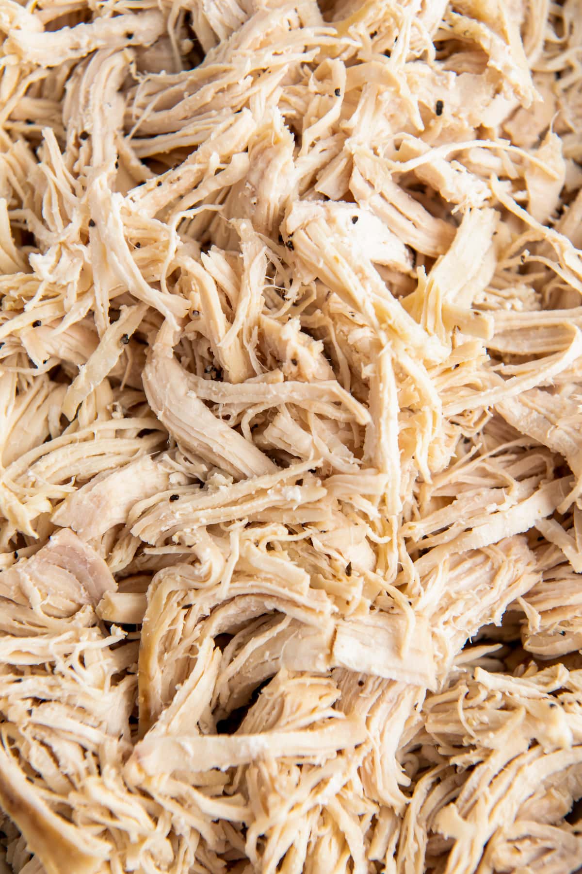 shredded chicken