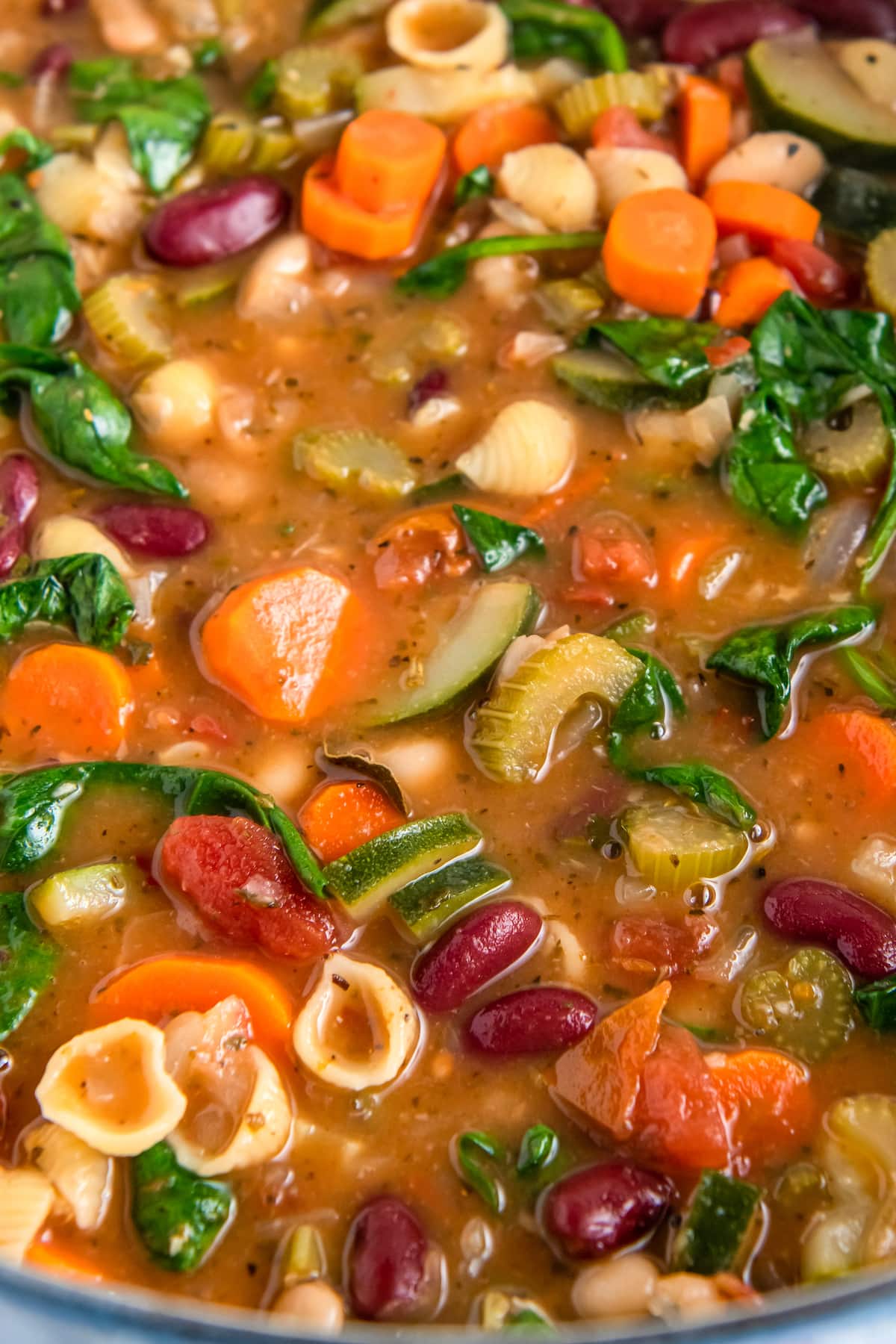 close up of minestrone soup with noodles, beans, and vegetables